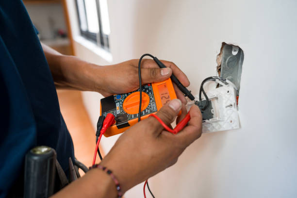 Best Residential Electrician Services  in Montrose, MI