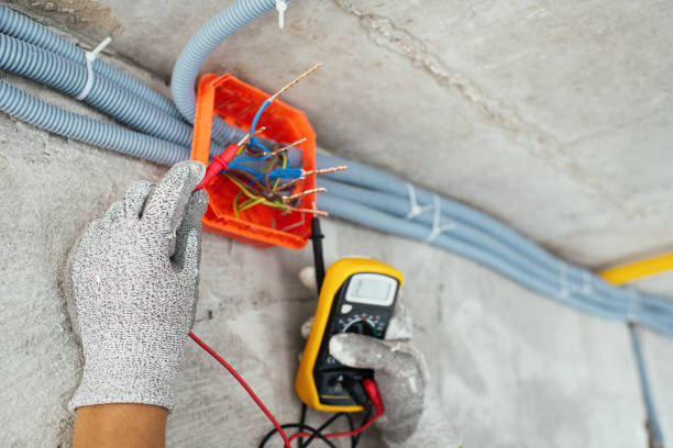Best Electrician for Home Renovation  in Montrose, MI